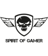 Spirit Of Gamer